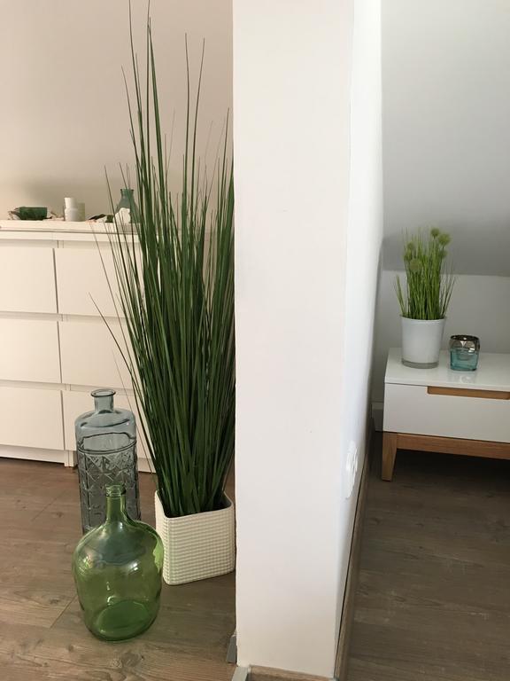 Ferienhaus Zur Mainpforte Mayence Extérieur photo