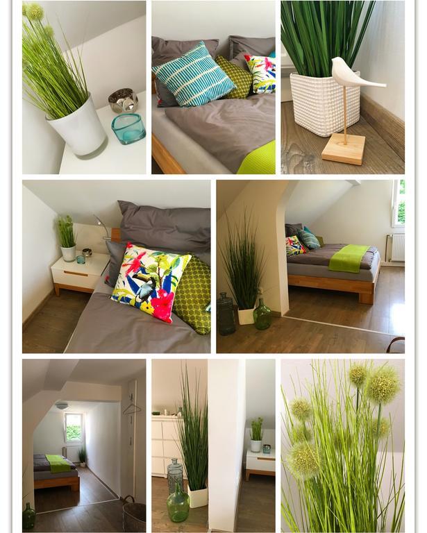 Ferienhaus Zur Mainpforte Mayence Extérieur photo