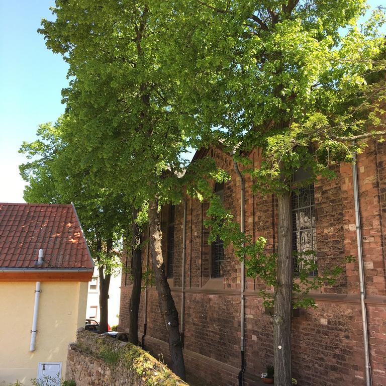 Ferienhaus Zur Mainpforte Mayence Extérieur photo